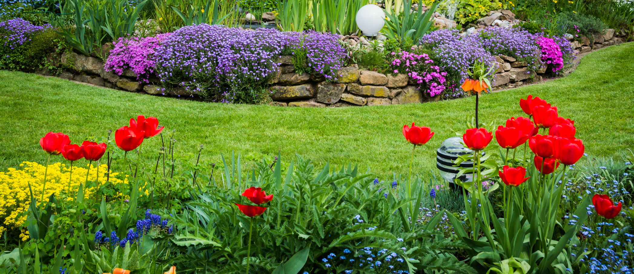 Gartenansicht mit Tulpen und Polsterphlox